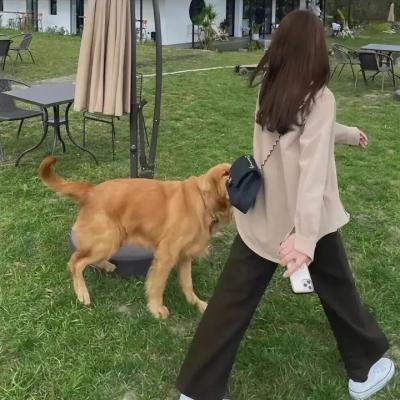 一本正经